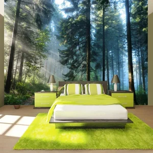 Papier peint forêt, ambiance naturelle et apaisante