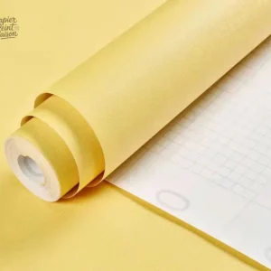 Papier autocollant pour décoration murale adhésive
