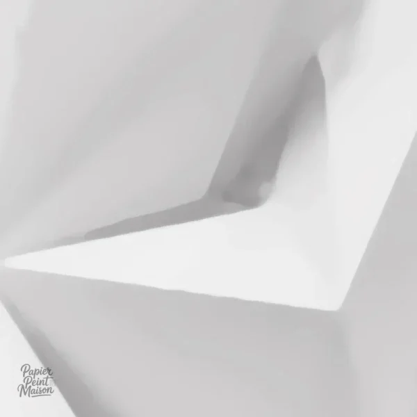 Papier peint décoratif 3D pour ambiance unique