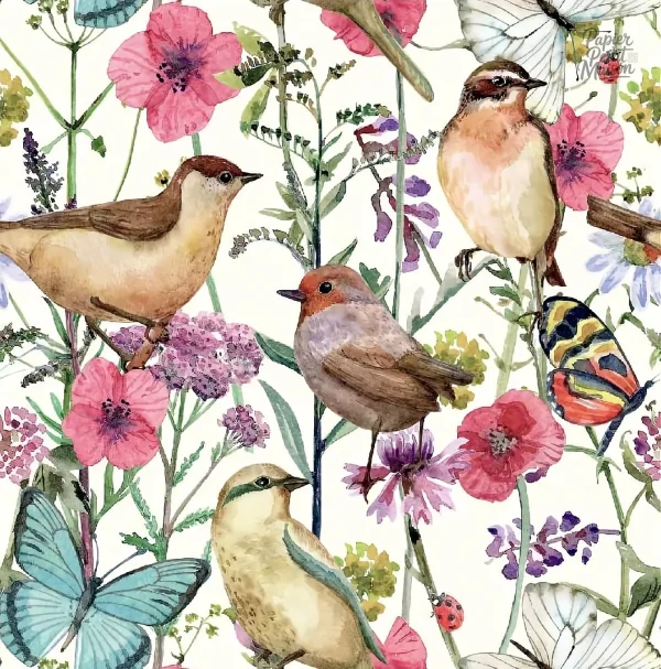 Papier peint oiseaux anglais avec motifs colorés