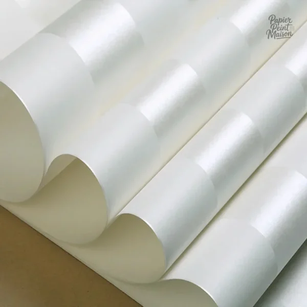 Papier peint intissé au ton argent