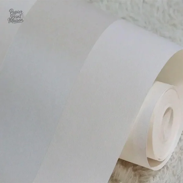 Papier peint intissé couleur métallique argent