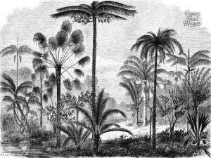 Motif jungle en noir et blanc pour décoration intérieure élégante