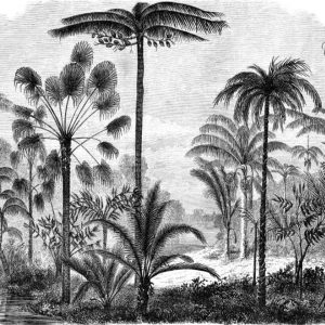 Motif jungle en noir et blanc pour décoration intérieure élégante