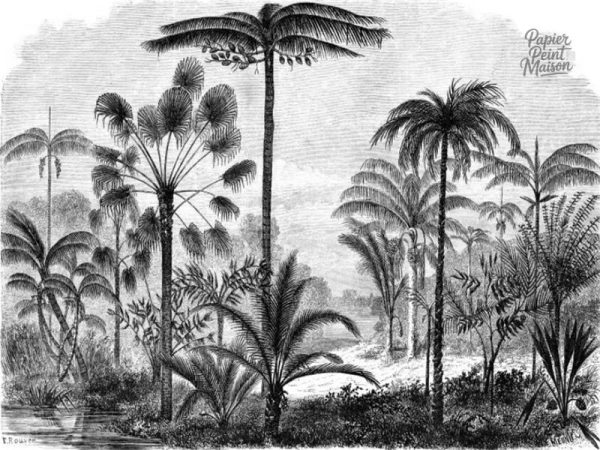 Motif jungle en noir et blanc pour décoration intérieure élégante
