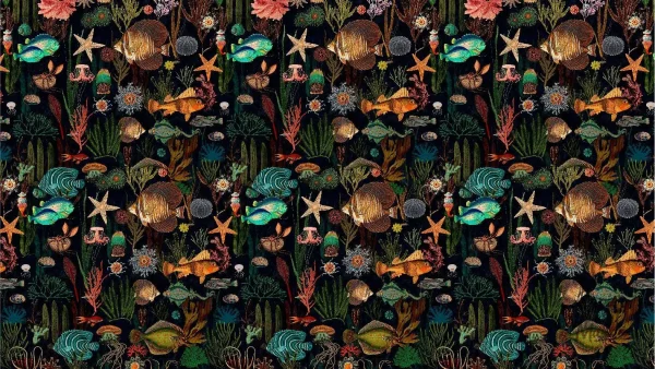 Papier peint design poisson, idéal pour une ambiance aquatique