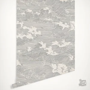 Papier peint nuage noir et blanc pour décoration intérieure