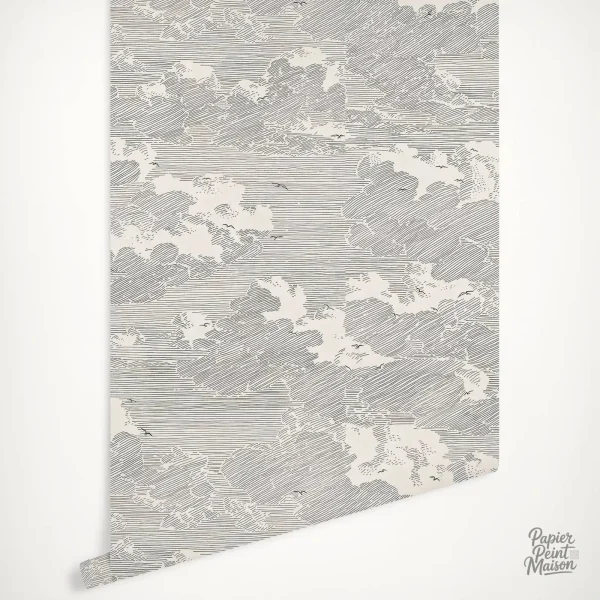 Papier peint nuage noir et blanc pour décoration intérieure