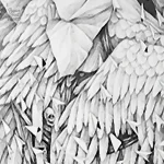 Papier peint tendance inspiré par la nature et les oiseaux