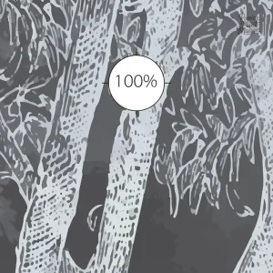 Ambiance nature avec papier peint noir et blanc