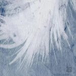 Papier peint décoratif plume, idéal pour rehausser votre intérieur