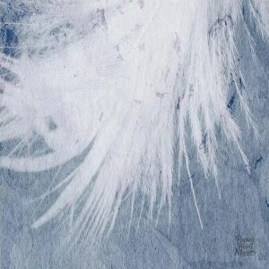 Papier peint décoratif plume, idéal pour rehausser votre intérieur